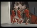 MS-DOS 5 upgrade Video