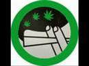 SKA-P LEGALIZACION SKA-P LEGALIZACION