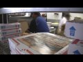 UIC Campus Event - Domino\