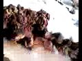 ice skating