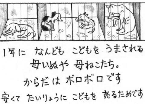 ペットショップにいくまえに