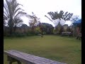 The Flybarless Coaxial RC Helicopter - Lama V4 Outdoor Test1