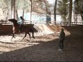 Lesson on Fidalgo 10/2/08