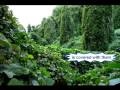 kudzu Blues