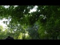 une vid�o �motion. que la patience des parents peut �tre grande !!! aimons nos parents pour la patience dont ils ont fait preuve lorsque nous �tions enfants.