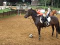 horseball demo1
