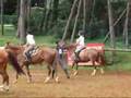 horseball demo1
