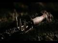 videos de Black Christmas- Knife Party Blackxmas 1974 and 2006