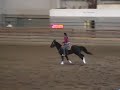 Scruffy Trac race 11-15