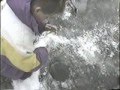 ICE FISHING WITH TIP UPS LK MTNKA ( part1)