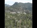 Chiricahua Natl Monument