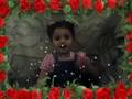 sereen abc