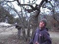 Zboaz pt. 4 Zboaz pt. 4