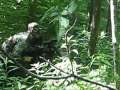 KENTUCKY AIRSOFT