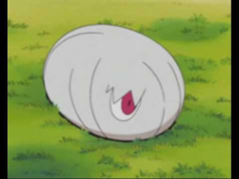 may (pokemon)