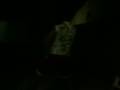 videos de Bui gogoboy