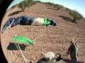 videos de Casco fuera a 1000m