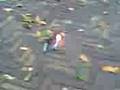 videos de rookbom
