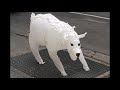 Air Bear (Seen On The Streets Of New York)