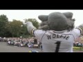 Warrington Wolves - Challenge Cup comes Home