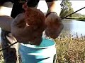 Carp Fishing - Tennessee Style USA