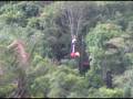 videos de tiro leza