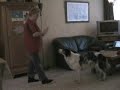 Gebaren voor onze dove hond Mick