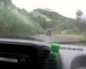 Indo Pra Aratiba Silverado  Turbo