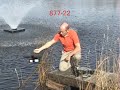 Ultrasonic Algae Control, Blue Green ALgae Filamentous Algae in a pond Ultrasonic Algae Control, Blue Green ALgae Filamentous Algae in a pond