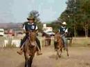 Campeonato de marcha de muares - Carrancas Campeonato de marcha de muares - Carrancas