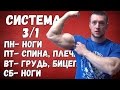 скачать программу тренировок в домашних условиях скачать программу тренировок в домашних условиях