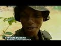during six weeks, seventeen legionnaires are in french guyana to do a commando training course, one of the hardest organized within the 3rd foreign infantry regiment based at kourou.