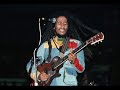 Bob Marley Smile Jamaica Dub