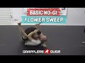 Basic No-Gi Flower Sweep
