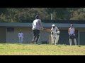cricket