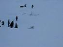 1-1-07 Sledding 1