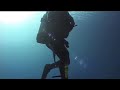 Remora Close Encounter