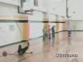 ostias-de-perros.html