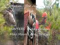 Upstate South Carolina Deer Hunting