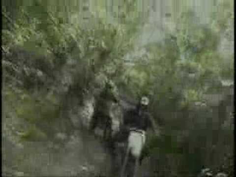 southern trail / woods ride
