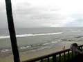 Shark attacks jogger in Maui 2007