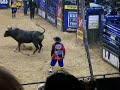 bullriding