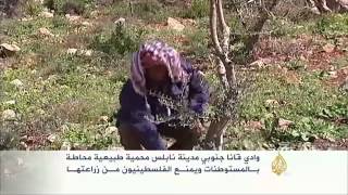 يوم تضامني مع مزارعي وادي قانا جنوب نابلس