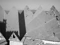 Siena Italia...vista dallaTorre del Mangia / Foto in bianco e nero