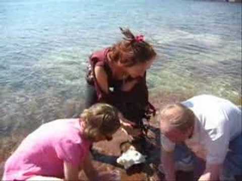 Saving Lake Superior: Free July 15 ...