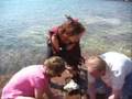 Saving Lake Superior: Free July 15 benefit concert