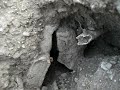 roman legacy in monce el eulma algeria