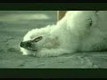 COMERCIALES CHISTOSOS - FUNNY COMMERCIALS