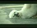 COMERCIALES CHISTOSOS - FUNNY COMMERCIALS video