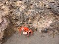 Playa Colorado Huacho